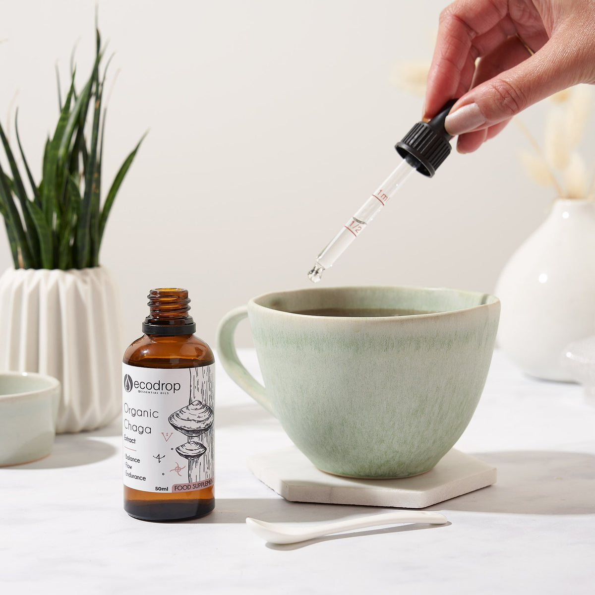 Ecodrop Organic Chaga mushroom extract with tea