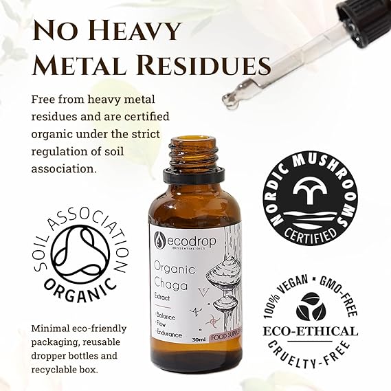 Organic Chaga Mushroom Double Extract Liquid - ecodrop