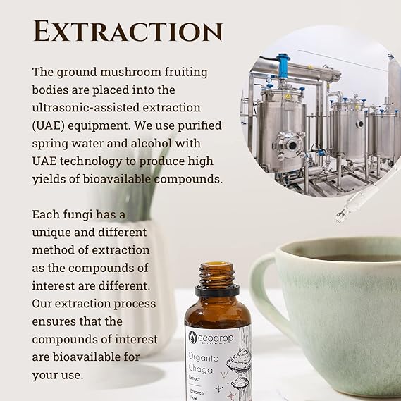 Organic Chaga Mushroom Double Extract Liquid - ecodrop