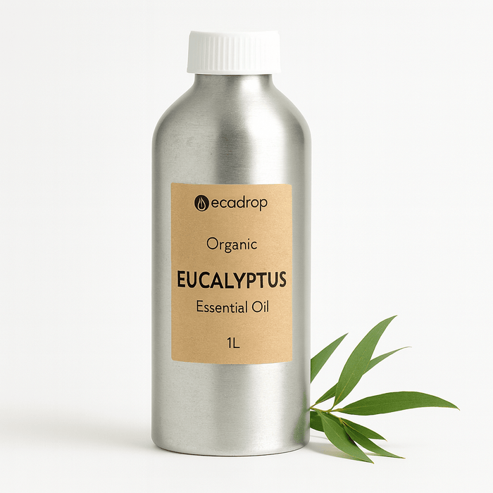 Organic Eucalyptus Essential Oils, 50ml - ecodrop