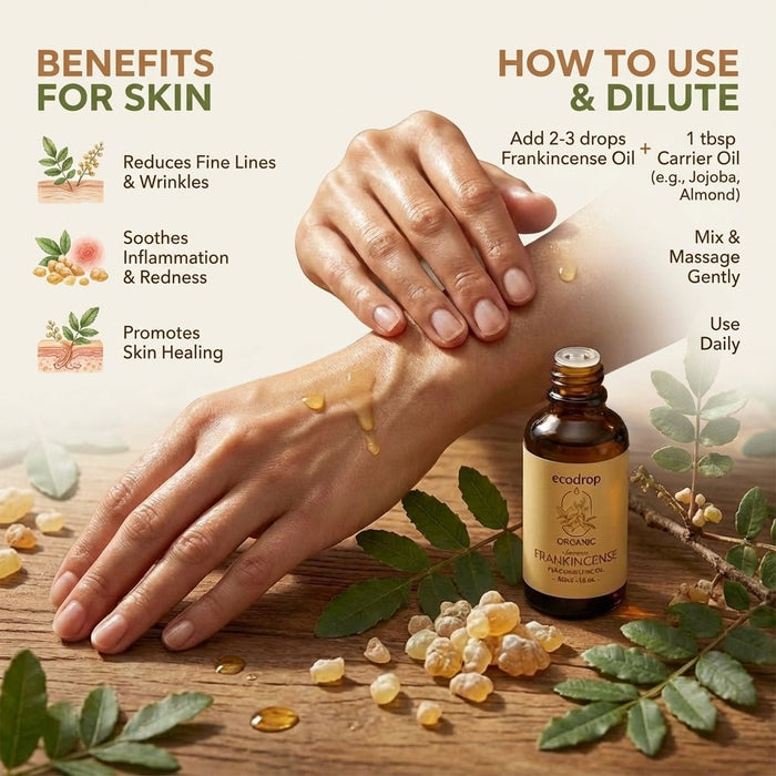 Organic Frankincense Serrata Essential Oil - ecodrop