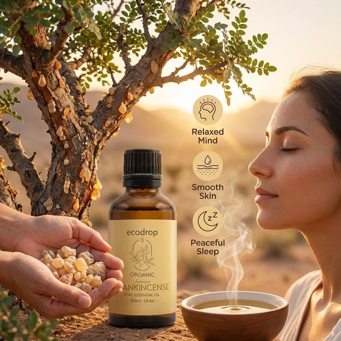 Organic Frankincense Serrata Essential Oil - ecodrop