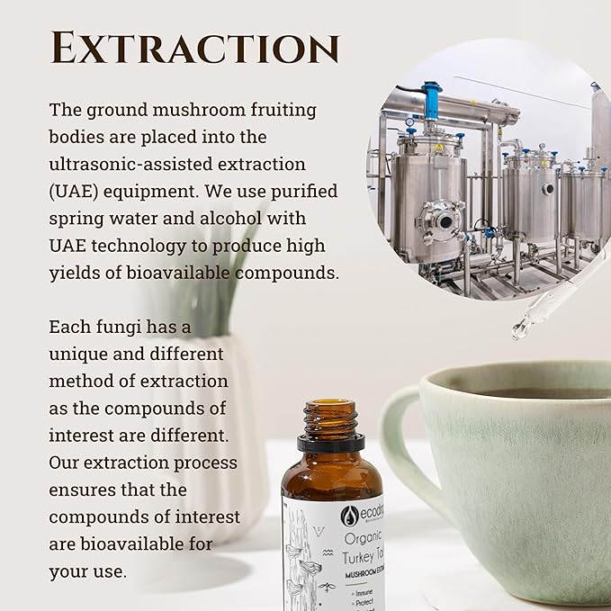 Organic Turkey Tail Mushroom For Dogs & Cats, Double Extract, No Heavy Metal Residues - ecodrop