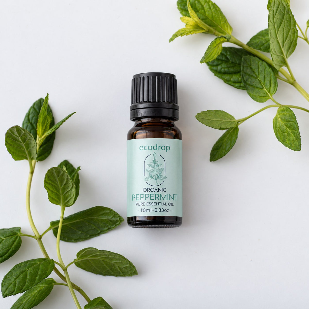 Organic peppermint essential oil 10ml bottle flat lay with fresh mint sprigs