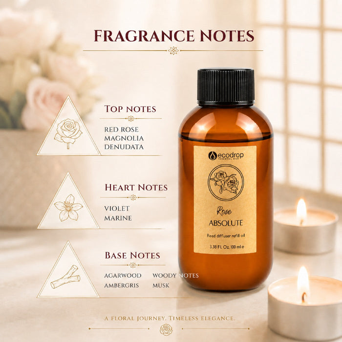 Rose Absolute reed diffuser fragrance notes: top, heart and base notes infographic