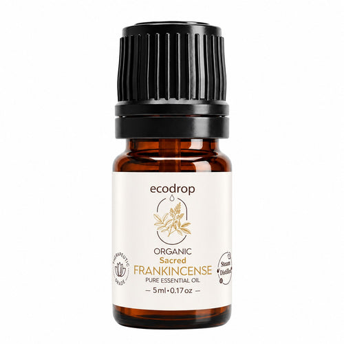 Ecodrop organic Sacred Frankincense pure essential oil 5ml amber bottle