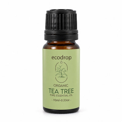 Organic tea tree essential oil 10ml amber bottle by Ecodrop, Melaleuca alternifolia