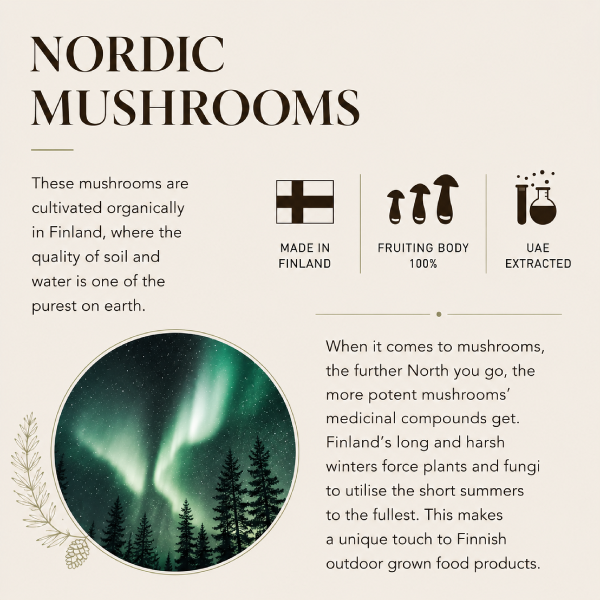 Turkey Tail - Nordic mushrooms cultivated organically in Finland