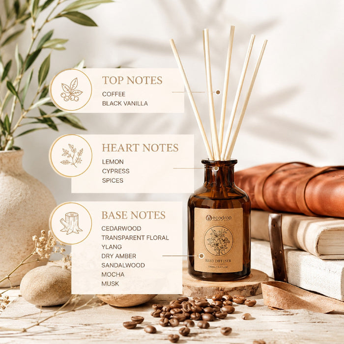 Ecodrop Black Vanilla Coffee reed diffuser fragrance notes top heart base