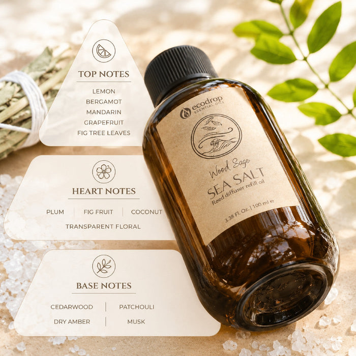 Wood Sage & Sea Salt reed diffuser fragrance notes - top, heart and base notes