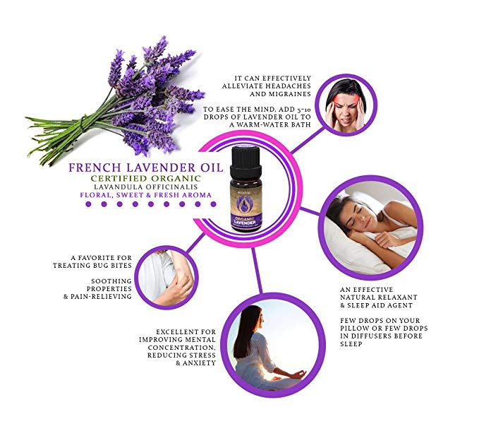 French Lavender Oil