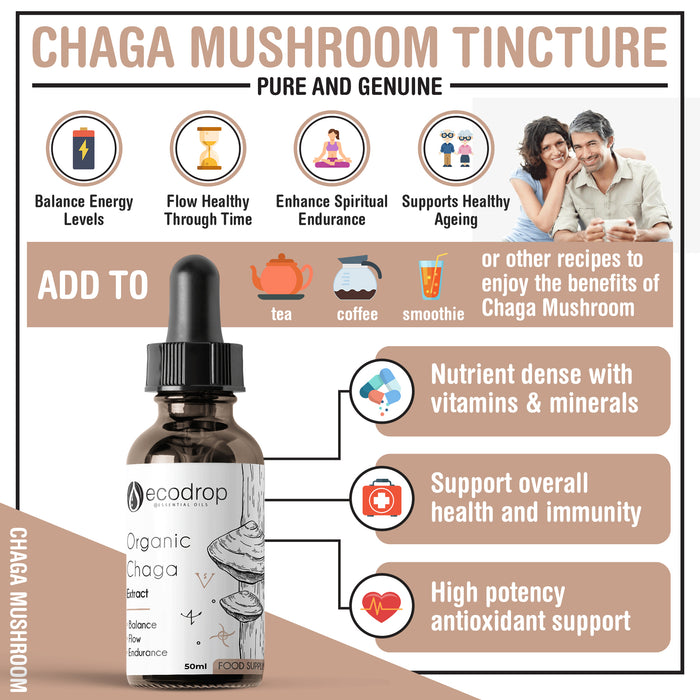 Chaga Infographic 1