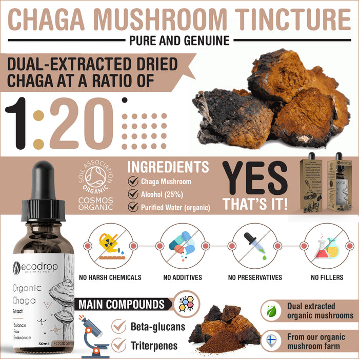 Chaga Infographic 2