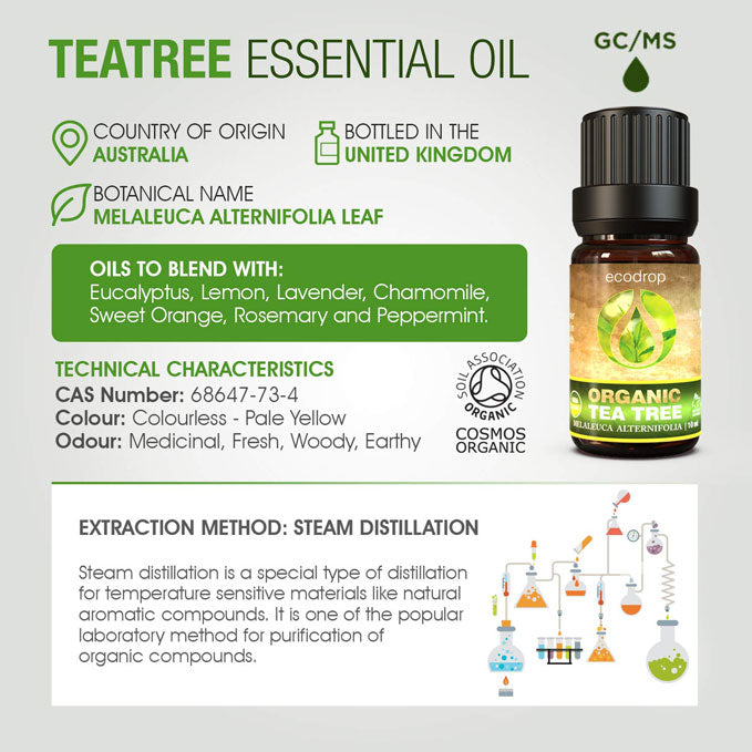 Image-V3-Tea-tree-