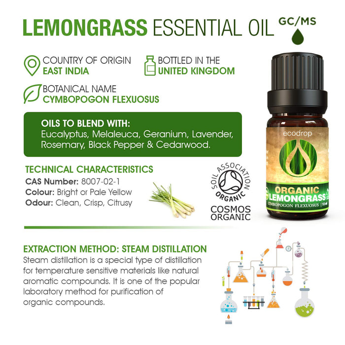 Lemongrass Infographic