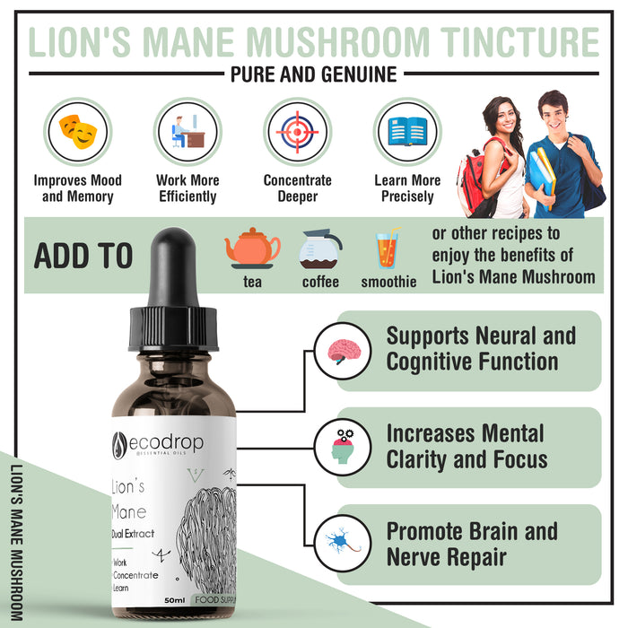 Lions Mane Infographic 1