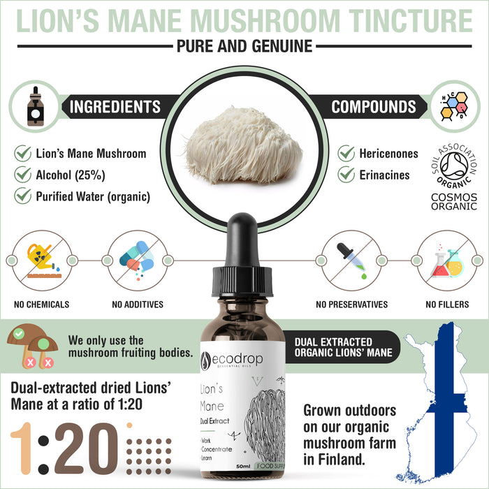 Lions Mane Infographic 2