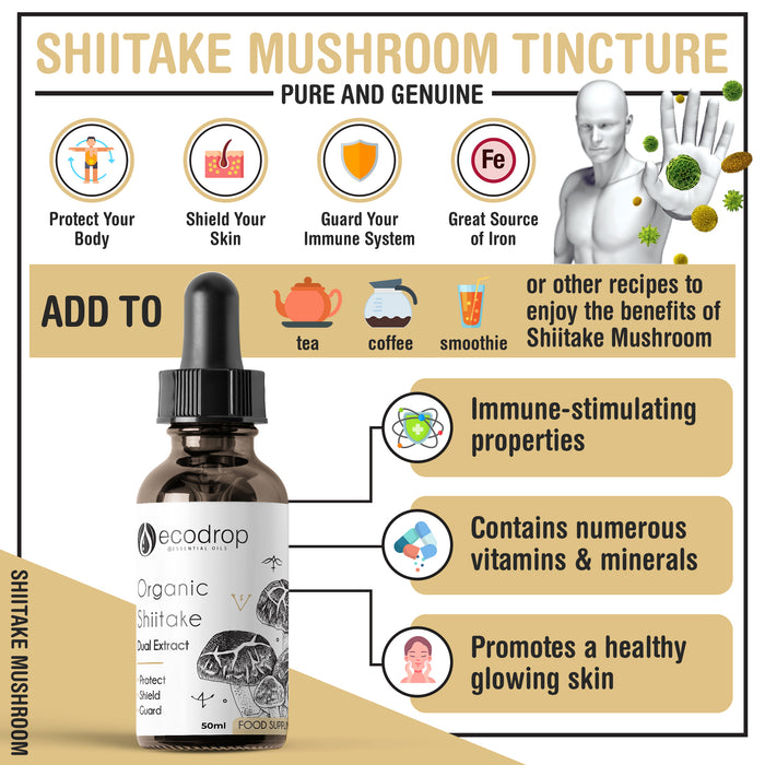 Shiitake infographic 1