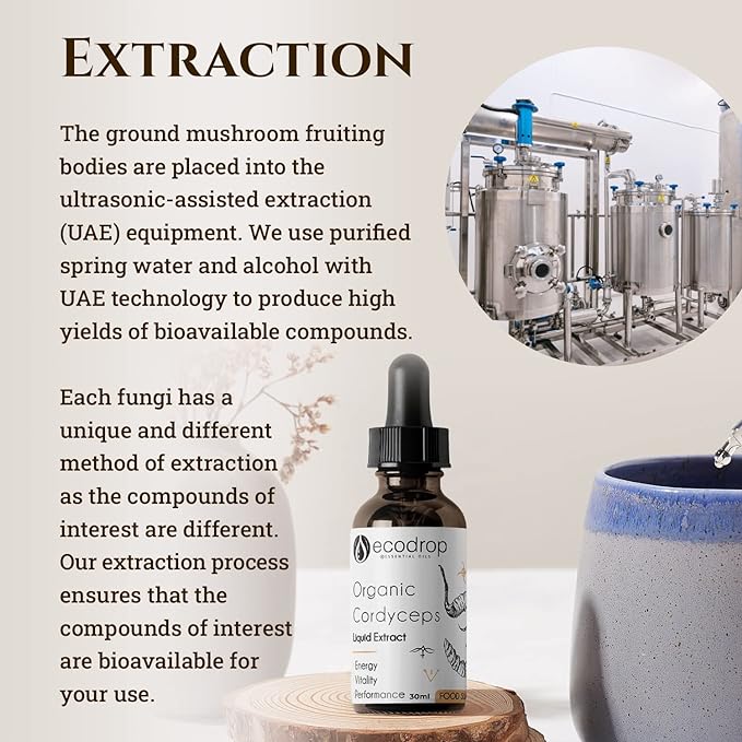 Organic Cordyceps Mushroom Double Extract Liquid - ecodrop