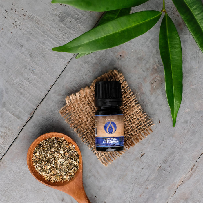 Organic German Chamomile, 5ml - ecodrop