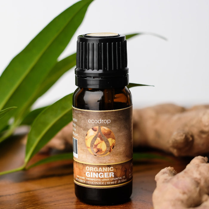 Organic Ginger Essential Oil, 10ml - ecodrop