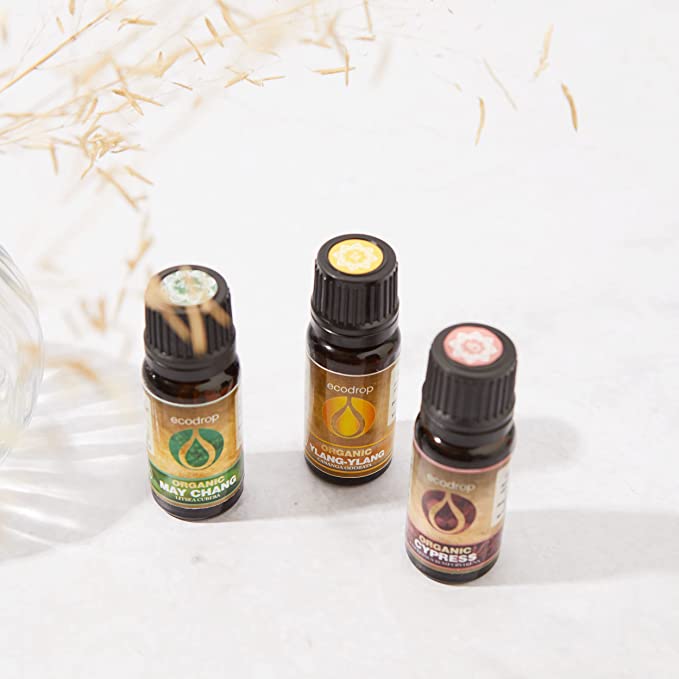 Organic May Chang Essential Oil, 10ml - ecodrop