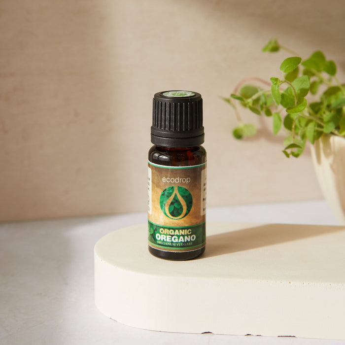 Organic Oregano Essential Oil, 10ml - ecodrop