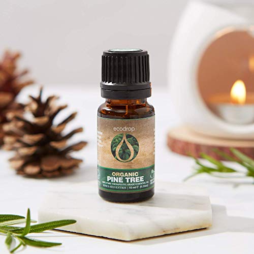 Organic Pine Essential Oil, 10ml - ecodrop