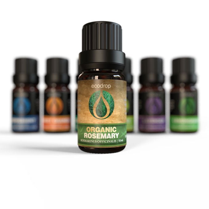 Organic Rosemary Essential Oil, 10ml - ecodrop
