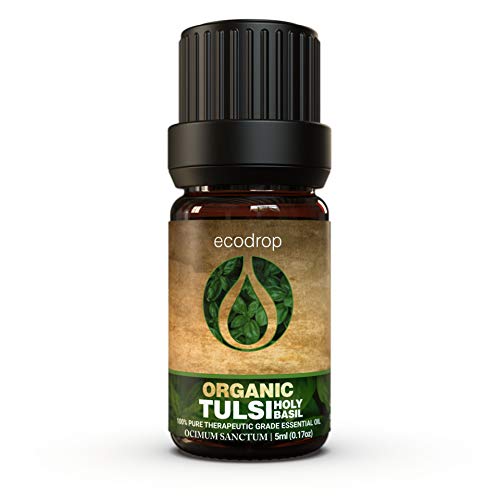 Organic Tulsi (Holy Basil) Essential Oil, 5ml - ecodrop