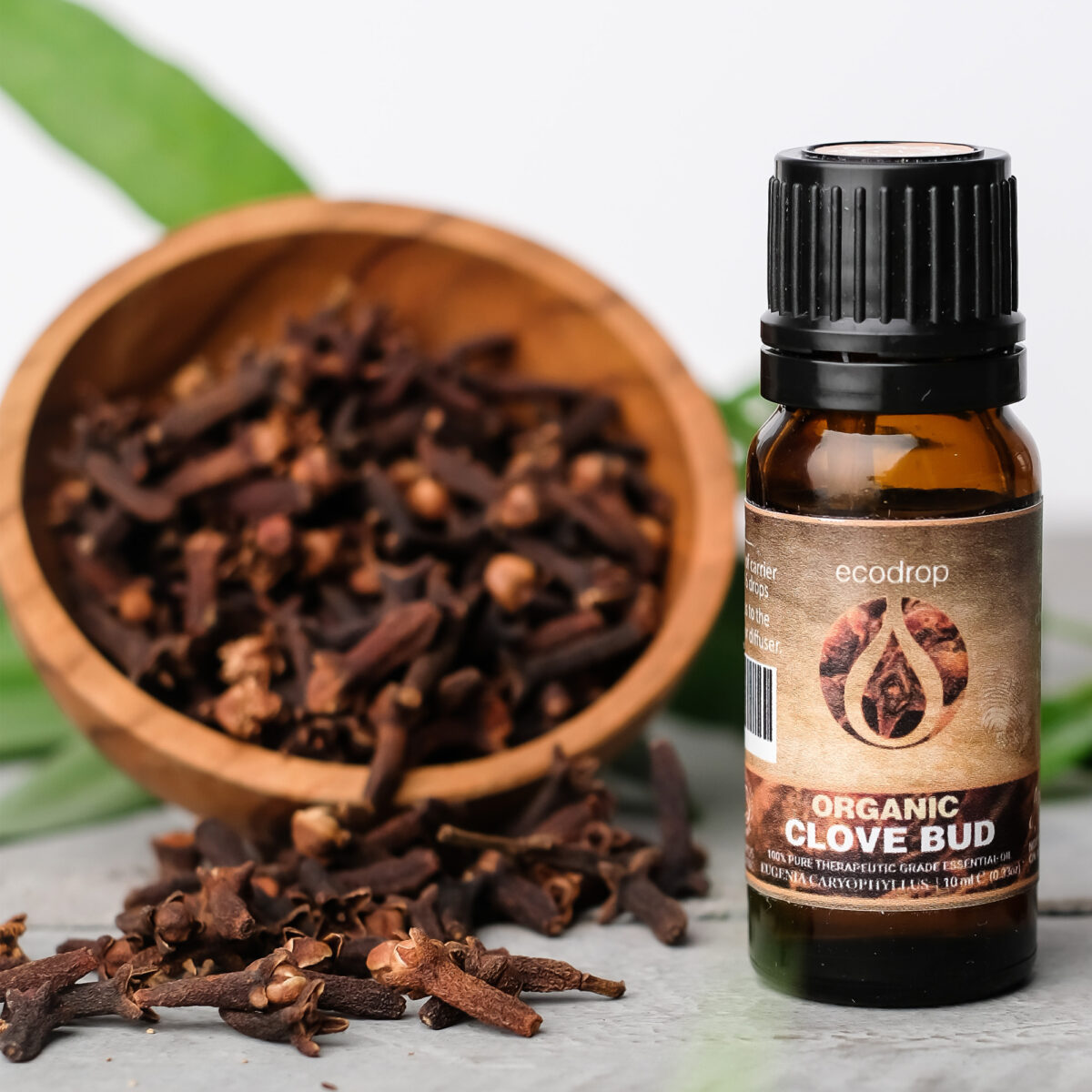 organic clove bud essential oil