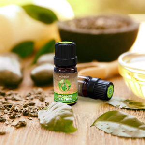 Tea Tree Essential Oil on a table with leaves 