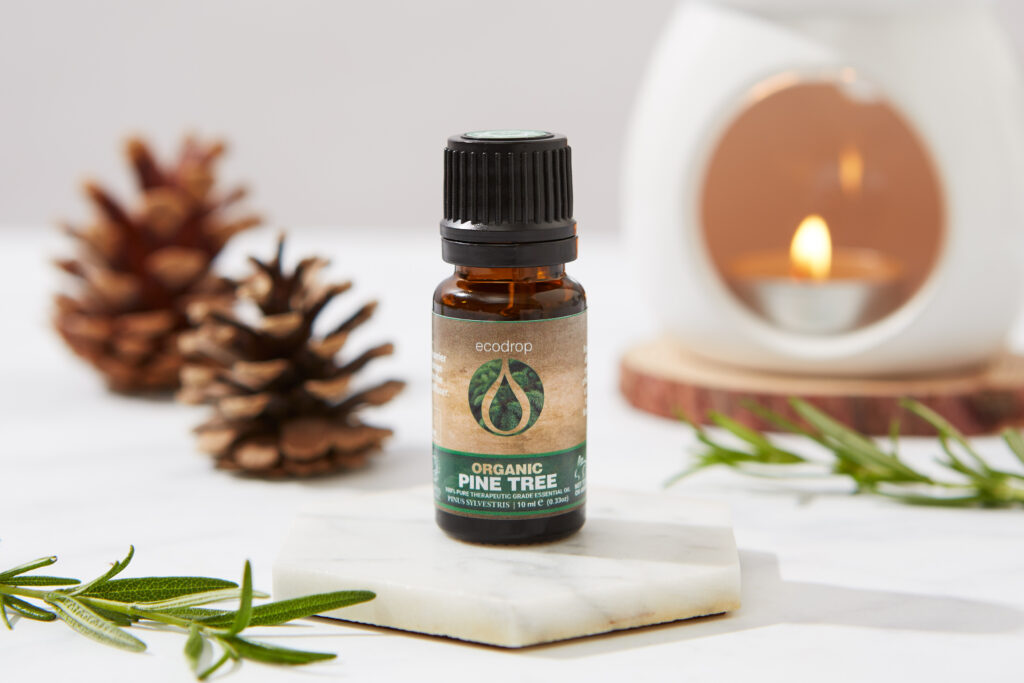 pine tree essential oil for christmas