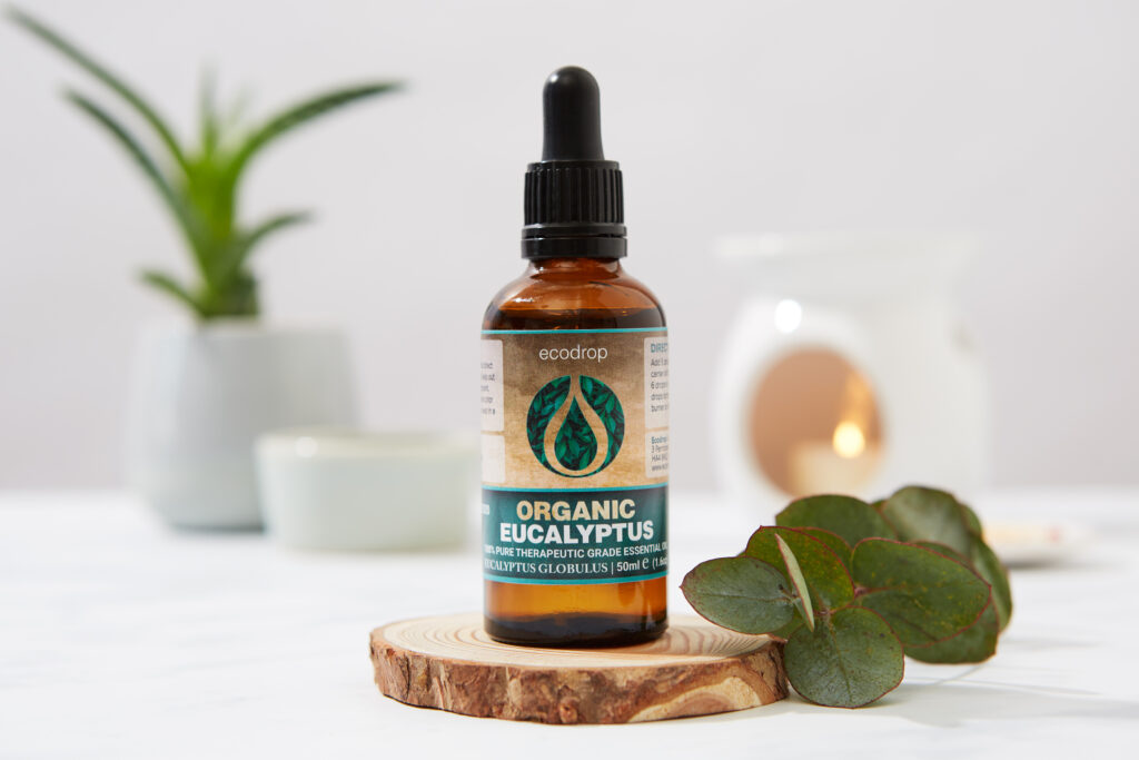 eucalyptus essential oil for sore muscles