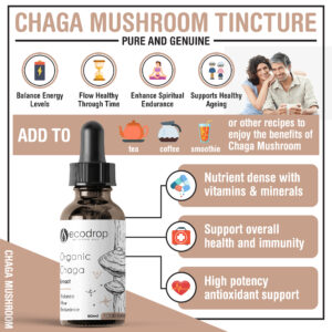 how-to-use-chaga-mushroom-tincture