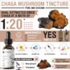 benefits-of-organic-chaga-mushroom-tincture