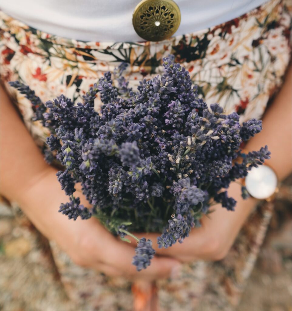 lavender for stress relief