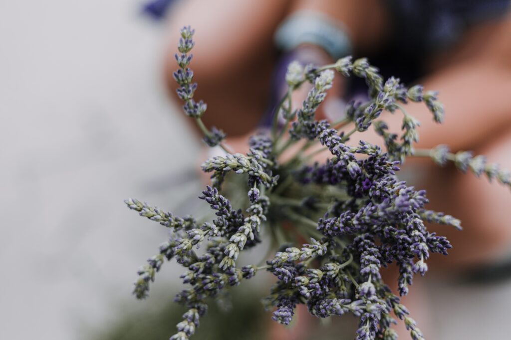 lavender for stress