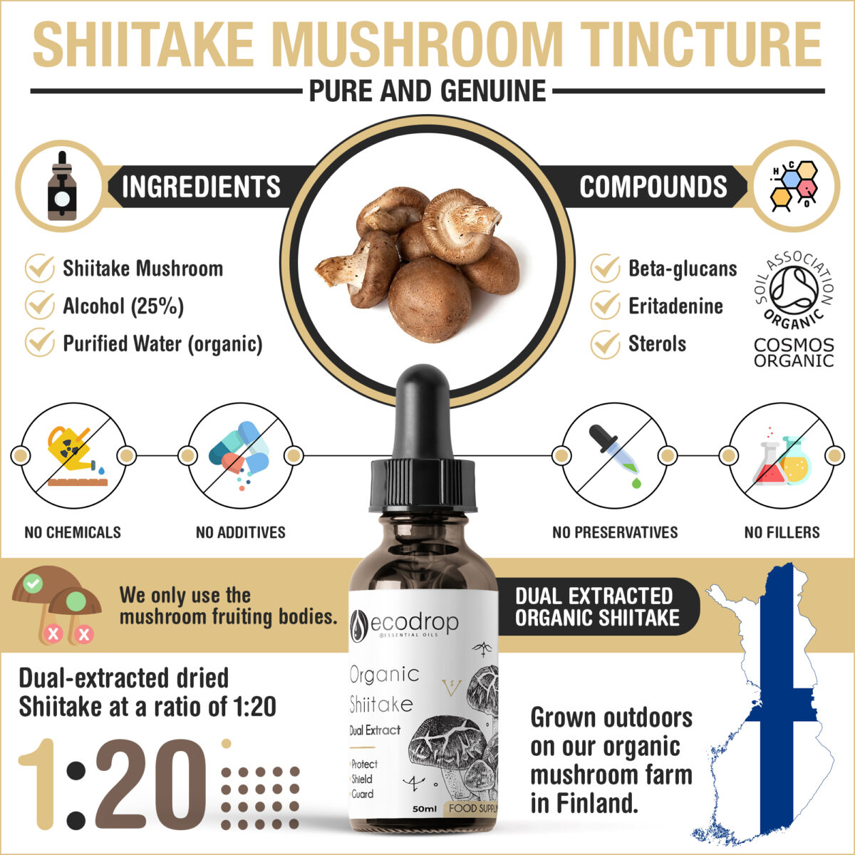 benefits-of-organic-shiitake-mushroom-tincture