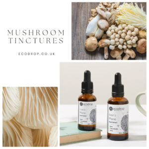 organic mushroom tinctures